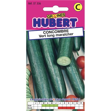 Graines de Concombre vert long maraîcher - 3 grammes
