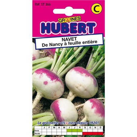 Graines de Navet de Nancy à feuille entière - 4 grammes