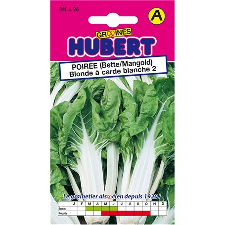 Graines de Poirée (Bette/Mangold) Blonde à carde blanche 2-5 grammes