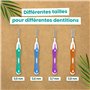 Kit 5 Brossettes Interdentaires 0,6mm - Nettoie les Espaces Interdentaires en Douceur - Nettoyage Dentaire Efficace - Accessoire
