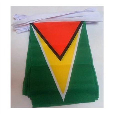 AZ FLAG - Guirlande Drapeau Guyana - 12 Mètres Avec 20 Drapeaux Guyanien De 45x30 cm - Fanions 100% Polyester - 200g