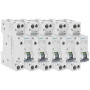 SIEMENS - Lot de 5 Disjoncteurs électriques phase + neutre 10A