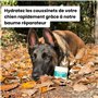 Baume Coussinet chien - Répare, hydrate, Protège - Pouvoir cicatrisant pour des coussinets abîmés, secs ou fissurés - Crème prot
