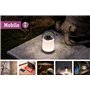 Paulmann 94166 luminaire rechar. LED Outdoor guirl. Mobile 7 pce Lampion incl.7x0,02W IP44 lumin. Mobile Blanc lampe à batt. pla