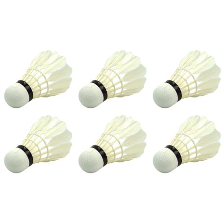 Best Sport Lot de 6 Volants de Badminton avec Plumes