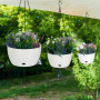 Porte-Plantes