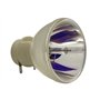 azurano lampe de projecteur BLB24 Remplacement de OSRAM PVIP 240/0.8 E20.9N Lampe de rechange pour divers projecteurs