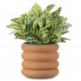 Navarsi Pot de Fleur - Pot Plante intérieur en Terre Cuite 26 x 16 x 4cm avec Base Soucoupe Amovible - Pot Fleur Interieur Exter