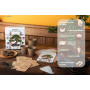 VEGETALIUS - Kit complet de 6 Bonsai avec graines & accessoires - Fabriqué en France - Idée coffret cadeau original pour femme &