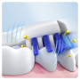 idéales pour les dents et les gencive
