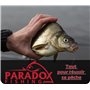 Paradox Fishing Lot de 5 Flotteur Peche - 3g/4g/5g/6g/8g - Bouchon Peche Truite