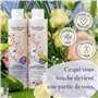 Jean & Len Conditionneur pour boucles de rêve Eau de riz & Açaibeere, pour cheveux bouclés & ondulés, combat les frisottis et ap