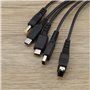EMSea Câble de Chargeur USB 5 en 1 Remplacement Compatible avec Gameboy Advance SP(GBA SP)/ DS Lite/NDS/Wii U/New 3DS XL/New 3DS