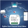 Fowecry Compteur D'Énergie Tuya Smart ZigBee 2 Voies Bidirectionnel avec Pince de Capteur de Courant App Moniteur Puissance 100-