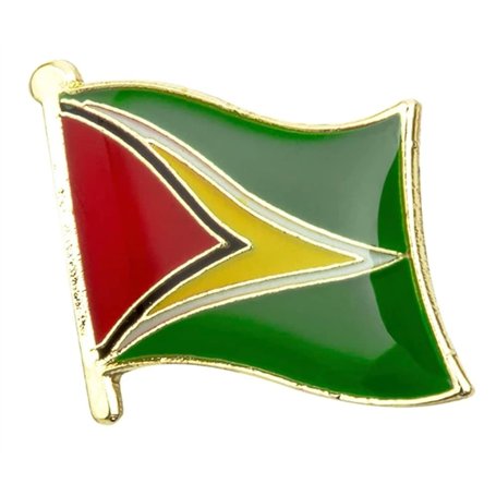 Pin's en métal émaillé avec drapeau national de la Guyane