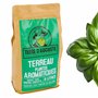 Terre d'Auguste - Terreau pour Plantes Aromatiques et Aromates 6L - Qualité Supérieure pour Potager et Plantes d'Intérieur - Bas
