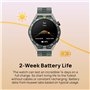 HUAWEI Montre GT 3 SE Wilderness 55029749 Tracker de fitness Vert/gris Taille unique