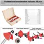Kit de Fraises à Araser Fraises defonceuse 6,35mm Coffret de 15 Fraises à Rainurer Bois en Carbure de Tungstène avec Tige, avec