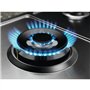 EGS75362X Plaque de cuisson 5 feux à gaz 75 cm en acier inoxydable