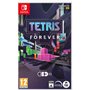 Tetris Forever NS