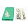 Boîte de voyage professionnelle avec 28 dominos 5 x 2,7 x 0,9 cm (vert)