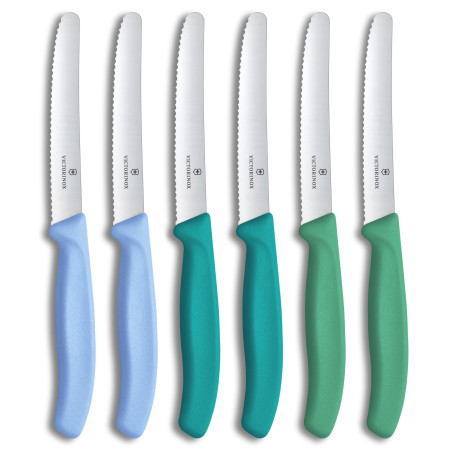 Victorinox Swiss Classic