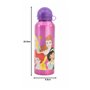 Stor BOUTEILLE EN ALUMINIUM POUR ENFANTS DE 530 ML | DISNEY PRINCESS BRIGHT & BOLD