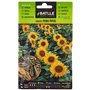 Graines aromatiques de Batlle - Tournesol (Seeds - 30cm)
