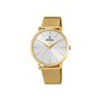 Montre FESTINA pour Femme F20476/1 Boyfriend Boîtier en Acier Inoxydable Doré Bracelet en Acier Inoxydable Doré