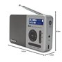 Aiwa RD-40DAB/SL : Radio Portable numérique Rechargeable (Dab/Dab+/FM,Haut-Parleur intégré, 100 présélections, Affichage Dot Mat