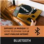 Lenco Platine Vinyle Bluetooth LS-55 - Tourne-disque avec haut-parleurs intégrés - Encodage direct MP3 sur support de stockage -