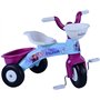 Tricycle Premier Pas Frozen