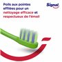 Signal Brosse à Dents Mario Junior 6-13 Ans Extra-Souple x3