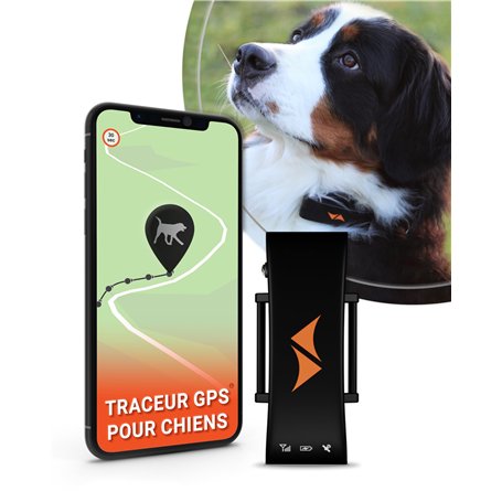 PAJ GPS pour Chien - Alarme de Fugue + Suivi en Direct - Mode d'économie de Batterie près de routeur - Signaux sonores- Étanche