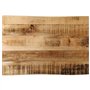 vidaXL Dessus de Table Bord Vivant 50x40x2