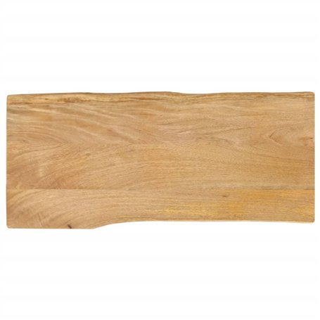 vidaXL Dessus de Table 100x40x3