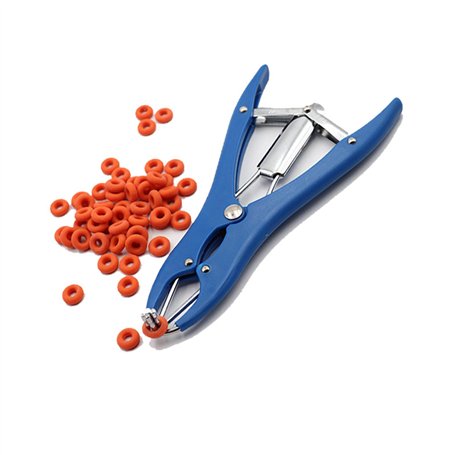 Pince à castration élastique en acier inoxydable pour bétail