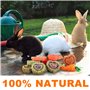 DOGGYZSTYLE 11 Jouets pour Petits Animaux,à Mâcher pour Lapins,Jouets à Mâcher Timothy Hay Naturel,Améliorer la Santé Dentaire,p