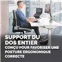 Fellowes Coussin Dorsal Breyta - Support Dorsal Ergonomique, Sangle Ajustable, Matériaux éco-responsables, Transportable avec Un
