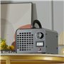 VEVOR Générateur d'Ozone Purificateur d'Air 36000 mg/h Générateur O3 pour Éliminer les Odeurs Commercial Industriel 115 W Grande
