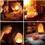 Lampe de sel de roche de l'Himalaya - Original Crystal Natural USB Himalayan Lamp Purificateur d'air avec 16 couleurs changeante