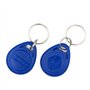 YAVIS 100pcs Badges RFID Porte-clés Smart ID Key Tag 125KHz Carte d'Accès d'Entrée de Contrôle de Porte Proximité EM4100 TK4100 