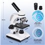 Tuword Microscope(40-1000X) Optique Microscopes Biologique Monoculaire avec Source De Lumière LED Et Support De Téléphone Portab