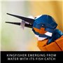 LEGO Icons Kingfisher Model Building Kit - Detailed 3D Puzzle for Adults, 18+ - Collectible, Relaxing DIY Craft for Bird Lovers 