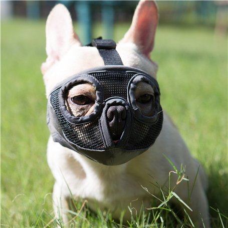 JYHY Court museau Chien Muzzle- Réglable Respirant en Maille Muselière Bulldog pour Piqûres d'Chewing aboiements Chien Masque (M