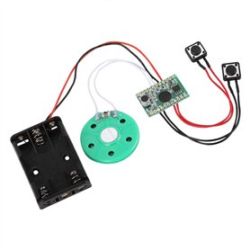 ASHATA Module Vocal enregistrable