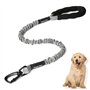 WDDT Laisse Chien Élastique