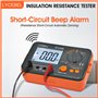 LYCEBELL Testeur de Résistance D'isolement Numérique LC-VC60B 0,1~200 MΩ Mégohmmètre, DC 250V/500V/1000V AC 750V avec d'alerte h