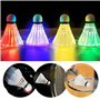 Lot de 10 balles de badminton à LED en plumes d'oie - 5 couleurs LED - En nylon - Pour le sport - Volants lumineux pour la nuit