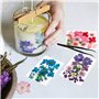Cadeau Anniversaire Maman Fleurs Pressées Séchées Fleurs séchées Naturelles Fleurs Sechees à Ongles Multicolores pour resine epo
